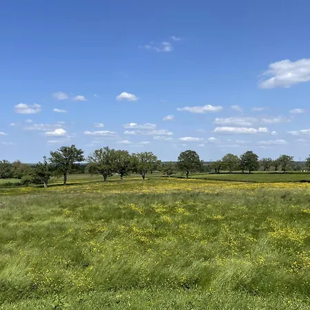 à La Ferme Avec Confort, Proche De Bourbon-l'archambault, Idéal Pour Randos Et Curistes - Fr-1-489-432 Casa de Campo
