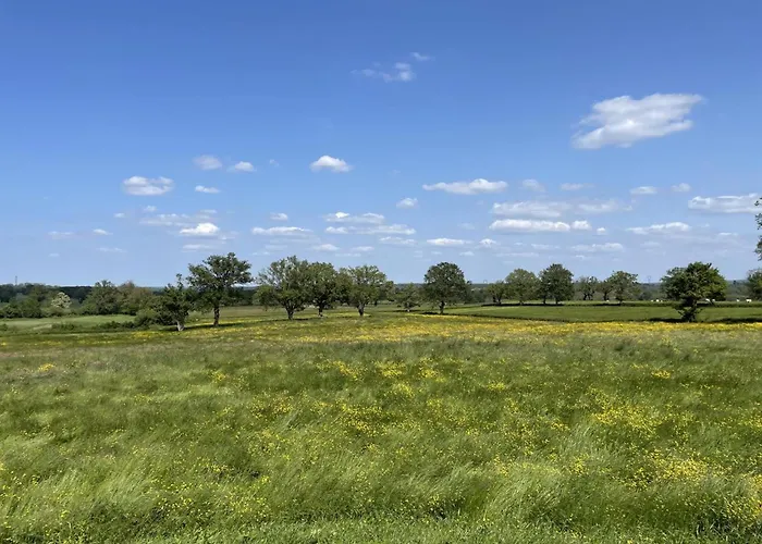 A La Ferme Avec Confort, Proche De Bourbon-l'archambault, Ideal Pour Randos Et Curistes - Fr-1-489-432 בית נופש